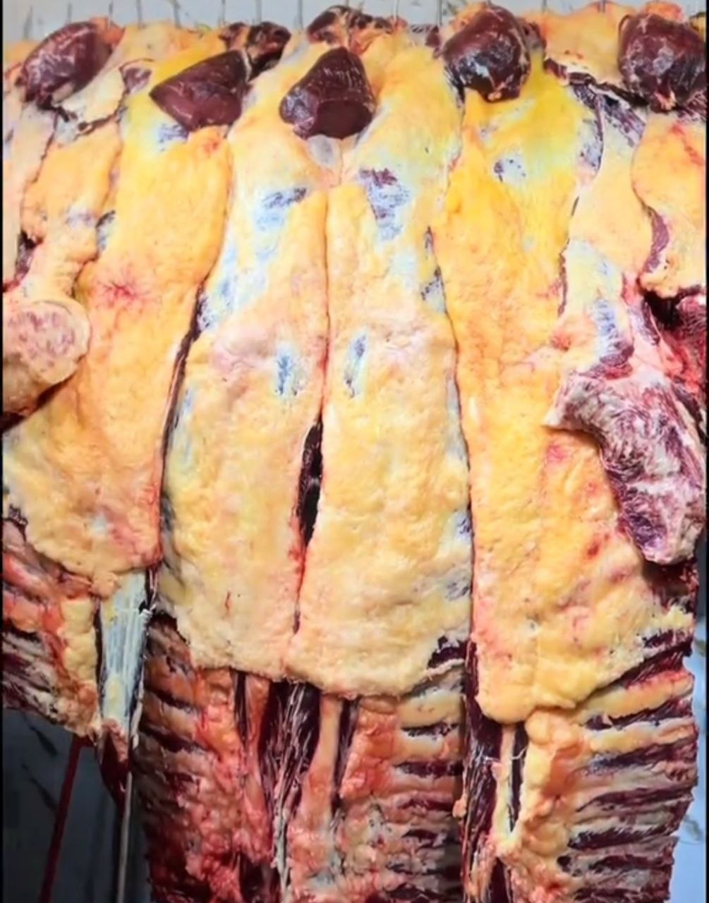 Prime beef cuts hanging on rails, fresh daily